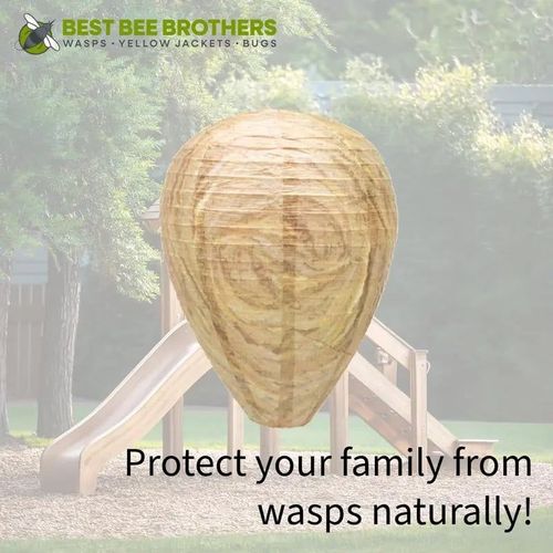 Hives Decoy Nests