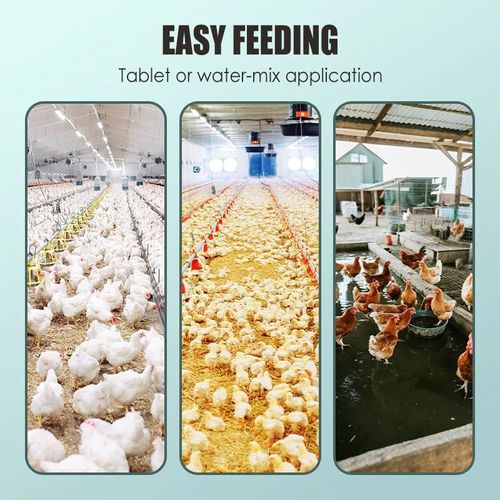 Feed Additives