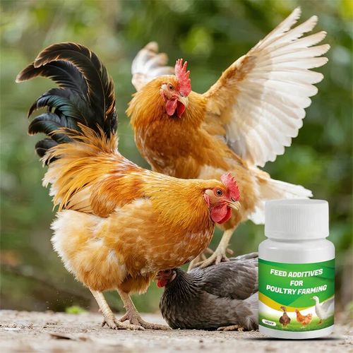 Feed Additives