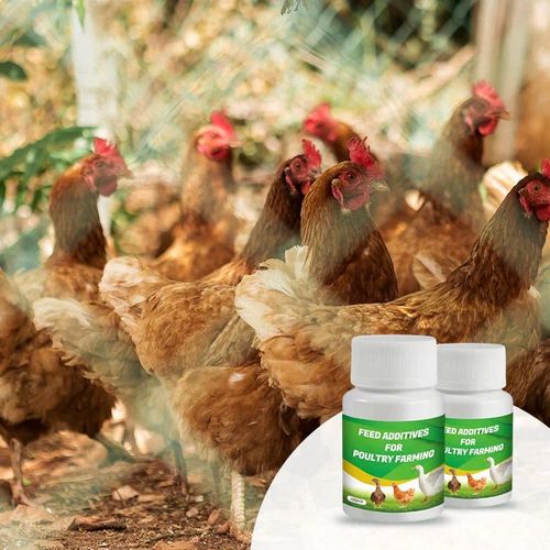Feed Additives
