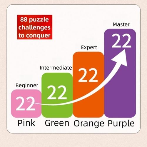 Logic Puzzle Brain Teaser Game