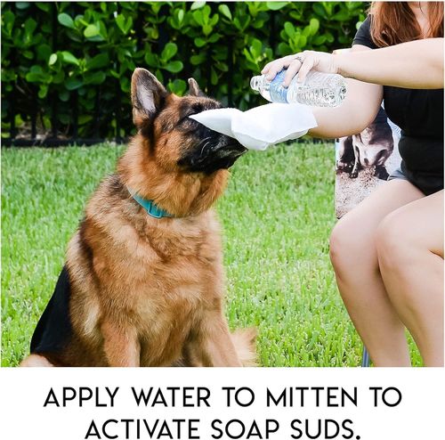 Dog Shampoo Mitts