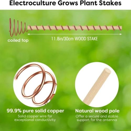 BUY 1 GET 3🔥One Thread - Electro Culture Copper Antenna