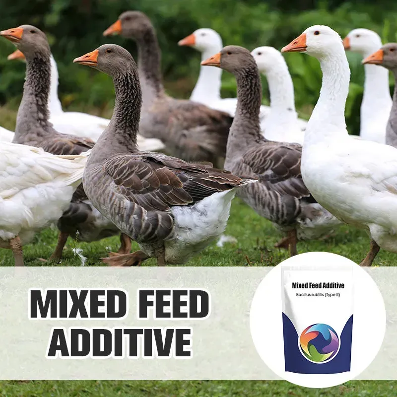 BUY 1 GET 2 !! Probiotic & Enzyme Feed Additive