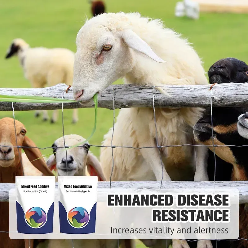 BUY 1 GET 2 !! Probiotic & Enzyme Feed Additive