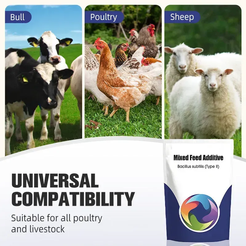 BUY 1 GET 2 !! Probiotic & Enzyme Feed Additive