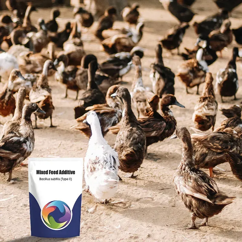 BUY 1 GET 2 !! Probiotic & Enzyme Feed Additive