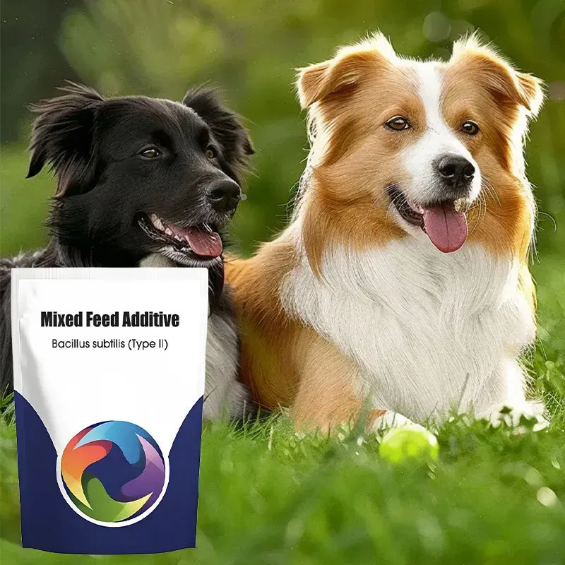 BUY 1 GET 2 !! Probiotic & Enzyme Feed Additive