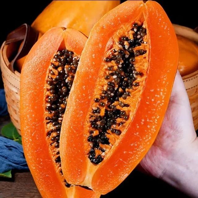 Buy 1 Get 2 !!! 🥭 Creamy Papaya Seeds (1 set 50 seeds)