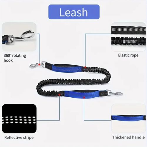 Dog Leash