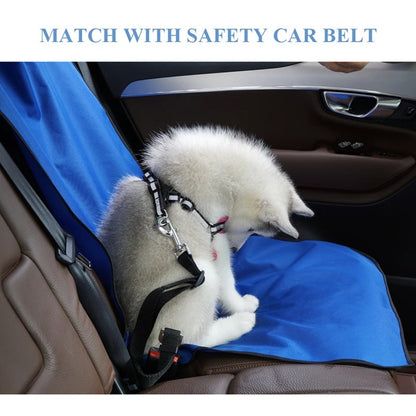 🦮buy 1 get 1 free！！！🚗🐶Car Pet Back Seat Cover