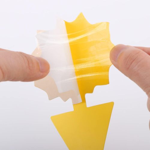 Fruit Fly Traps Yellow Sticky Traps Fungus Gnat Traps Insect Bug Traps