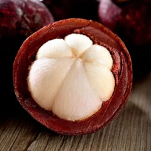 Mangosteen