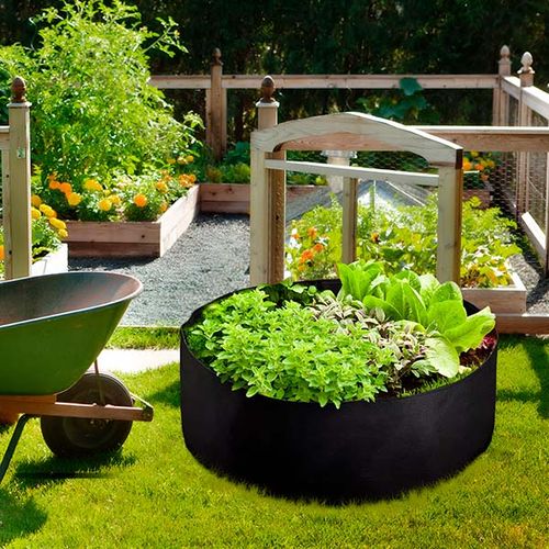 garden bed