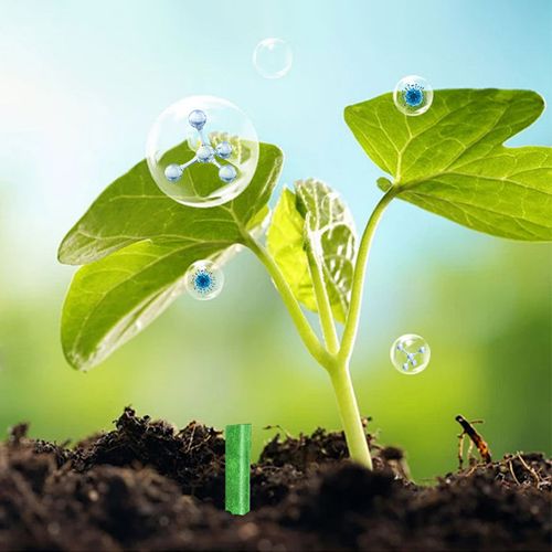 fertilizer sticks for plants