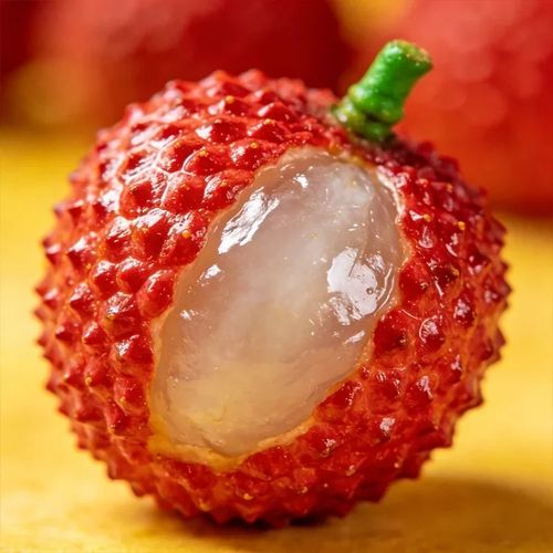 🍃 Premium Lychee Seeds – Plant & Harvest Your Tropical Dream 🌞 Price