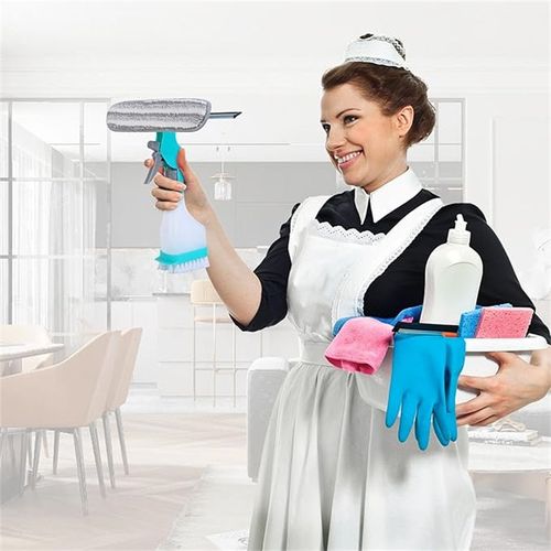 4-in-1 Glass Cleaner - Combines wiper, scraper, brush and spray bottle
