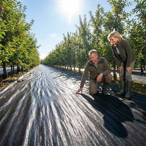 Weed Control Fabric