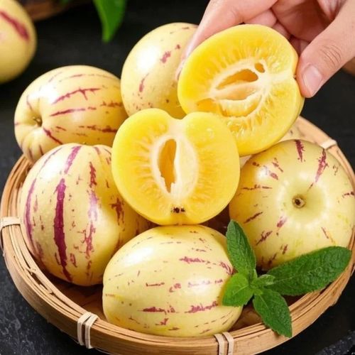 Ginseng Fruit Pepino Melon Seeds-Solanum Muricatum