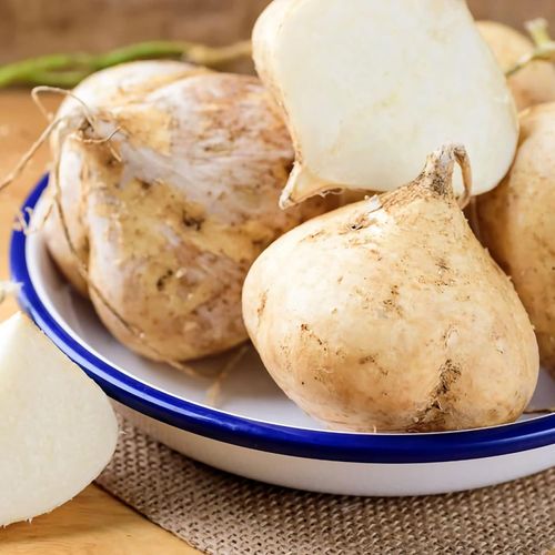 Exclusive Offer💥Rich, Juicy and Nutritious Crispy Fruit -Sweet Jicama for Planting in Your Home🍠