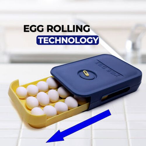 Egg Storage Box