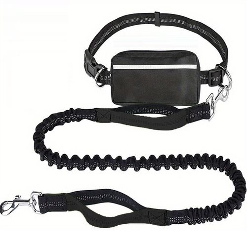 Dog Leash