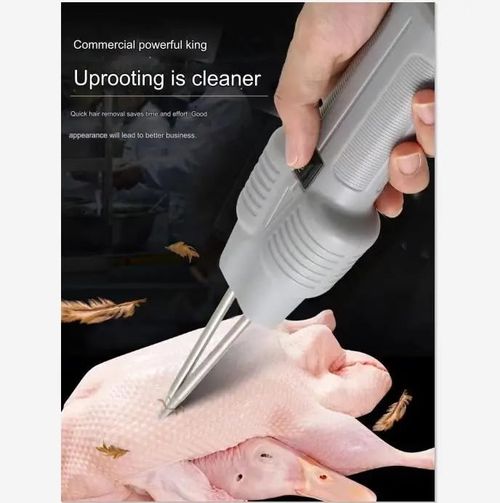 Electric device for fast hair removal for birds