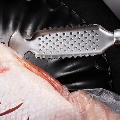 Stainless Steel Fish Scale Remover