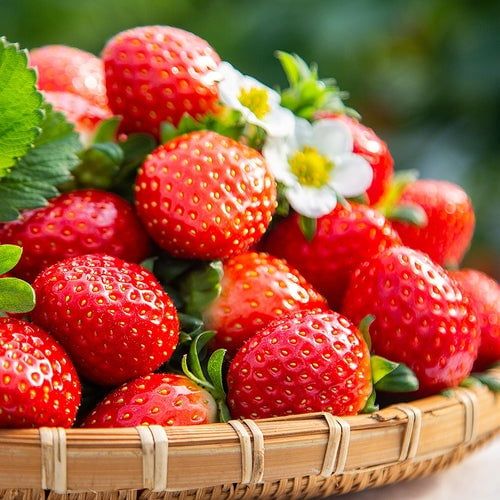 🔥🍓Cream Strawberry Seeds(200seeds)