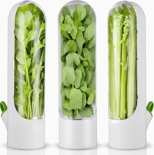 Cross-Border New Herb Storage Box, Vegetable Storage, Herb Storage Cup