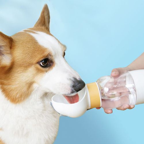 Dog Water Bottle