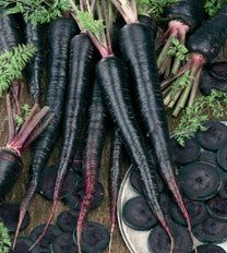 3 Different Color Varieties Carrot Seeds Combo （1000seeds）