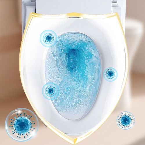 Toilet Fragrance Dispenser