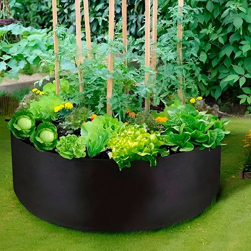 garden bed