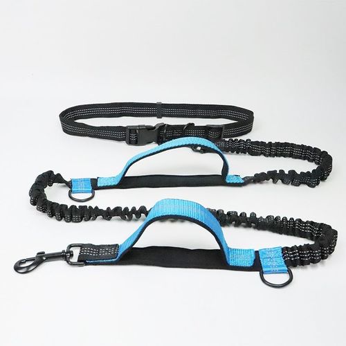 3-in-1 Hands-Free Leash