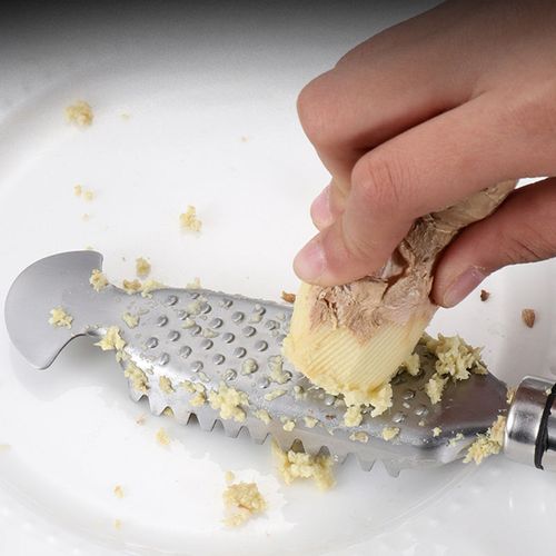 Stainless Steel Fish Scale Remover
