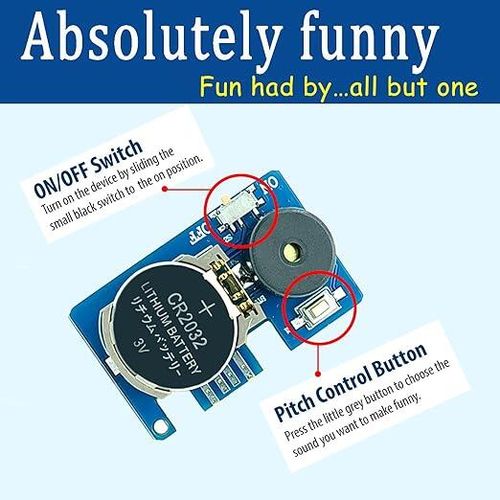 Cricket Noise Maker Prank