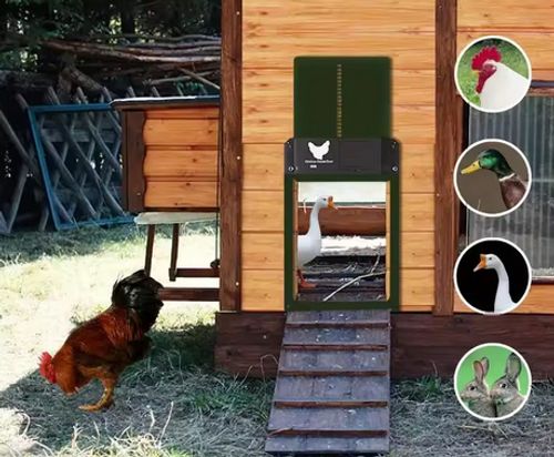 AUTOMATIC DOOR FOR CHICKEN HOUSE