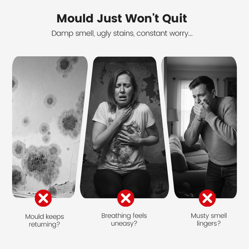 Mould Removal Spray