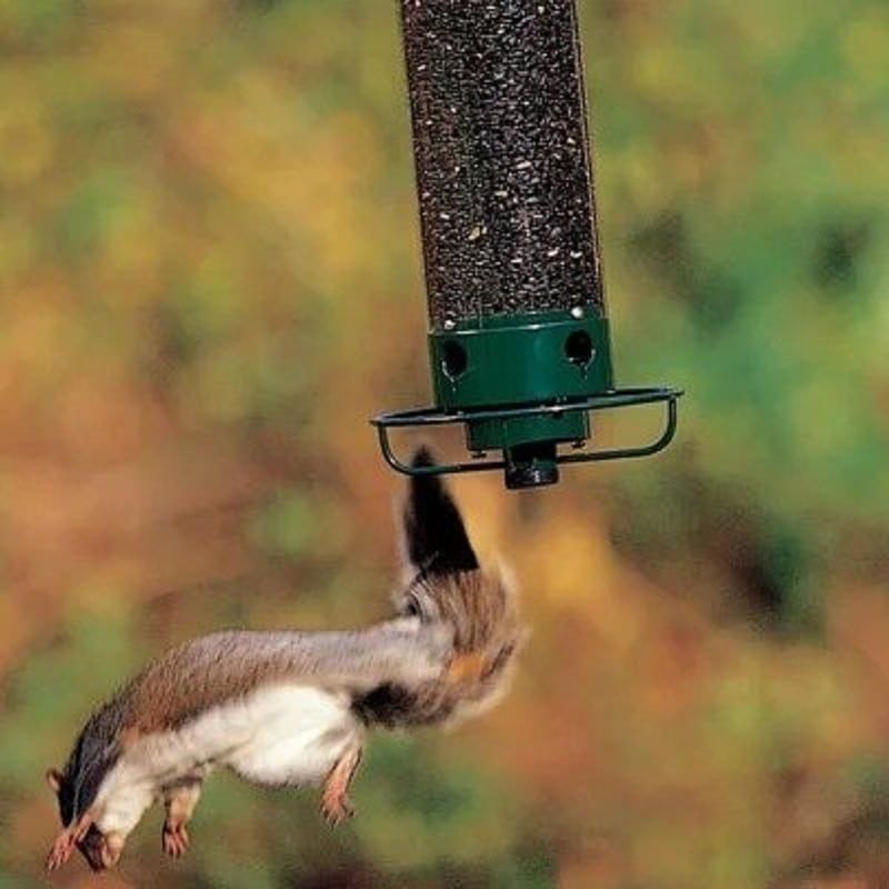 💥New Spring 💥100% Squirrel-Proof Bird Feeder