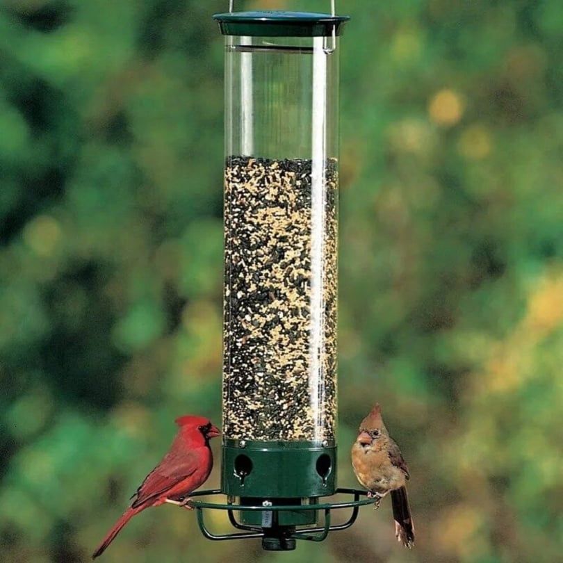 💥New Spring 💥100% Squirrel-Proof Bird Feeder
