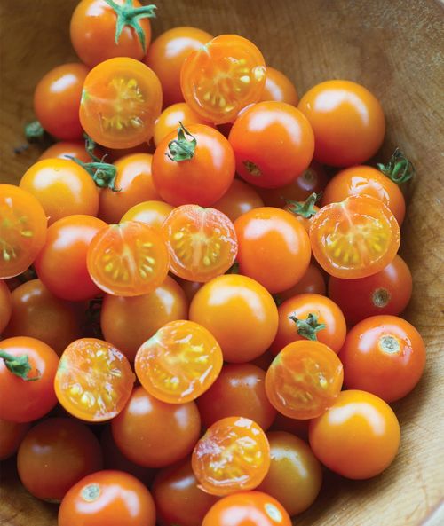 Sungold Tomato,Cherry Tomato Seeds（400 seeds）