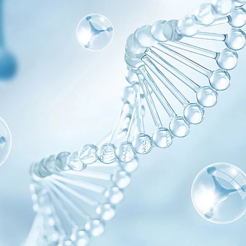 Toilet Sterilization Lamp