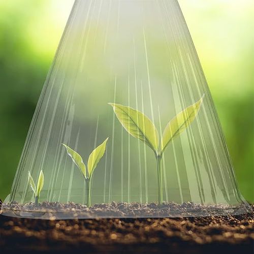 Garden Bells for Plants