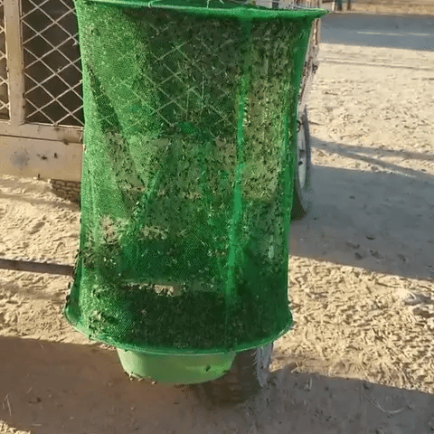Buy 1 Get 2 !!! 🎁Reusable Ranch Fly Trap