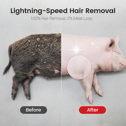 Pig Hair Remover Scraper Disc