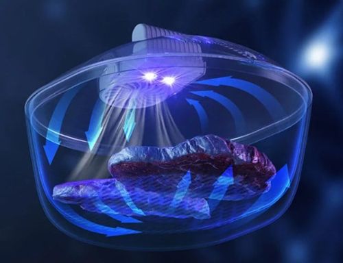 Food Preservation Defroster