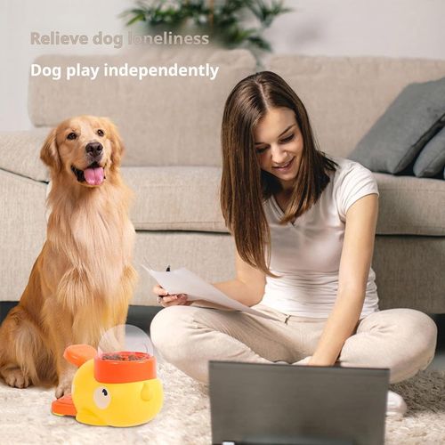 2-in-1 Interactive Dog Puzzle Toy & Slow Feeder