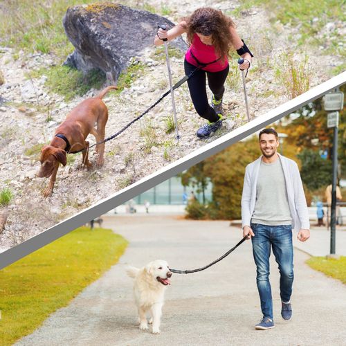 3-in-1 Hands-Free Leash
