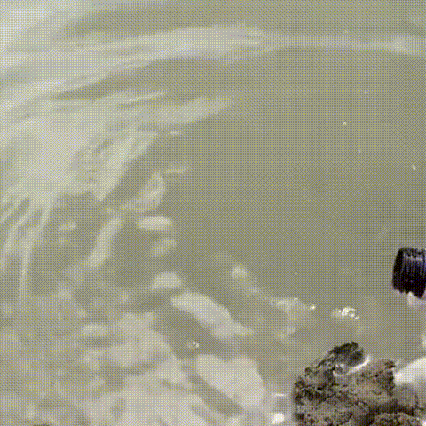 Scent Fish Attractants for Baits